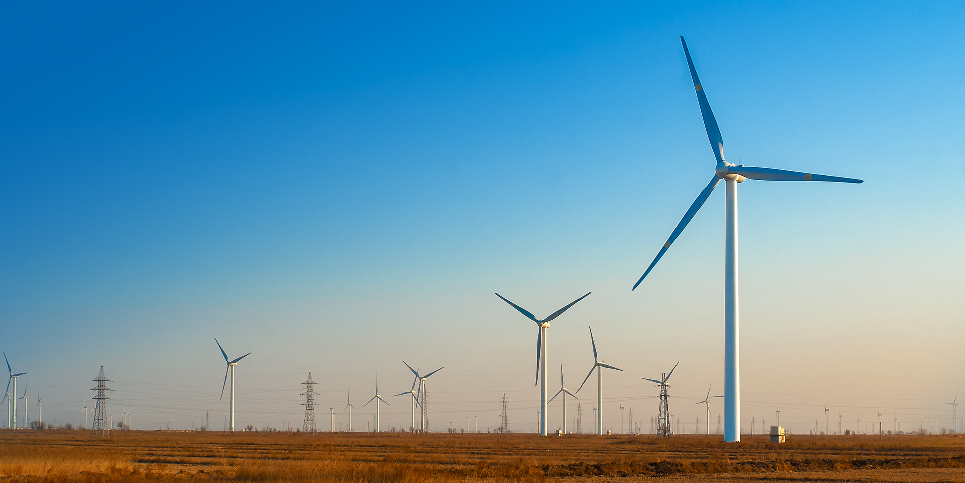 伟德体育官网 - 综合体育赛事平台|奥体中心相助同伴