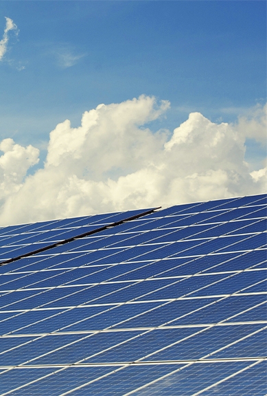 伟德体育官网 - 综合体育赛事平台|奥体中心相助同伴