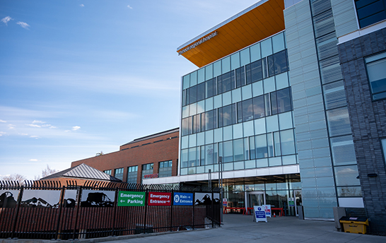 伟德体育官网 - 综合体育赛事平台|奥体中心相助同伴